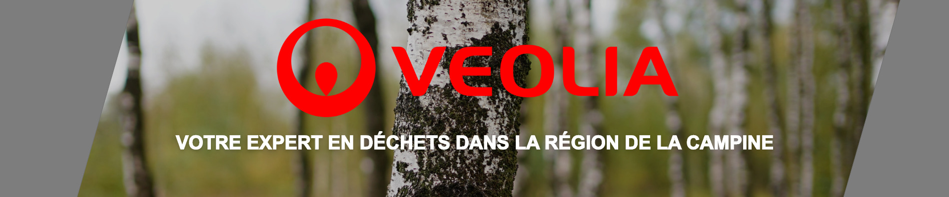 Bannière - Un conteneur pour vos déchets en Campine | Veolia Belgique