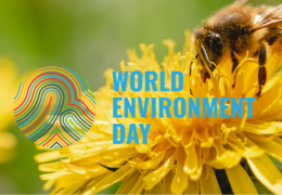 World Environment Day: Bescherming van Biodiversiteit door Innovatief Afvalbeheer