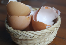 Van ei tot eierschaal: wat mag er bij het organisch afval?