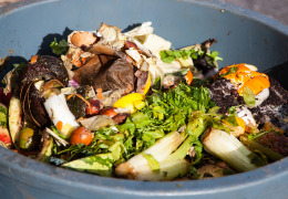 Maintenez les nuisibles éloignés et évitez les mauvaises odeurs : conseils sur le stockage des déchets de cuisine et des restes alimentaires.