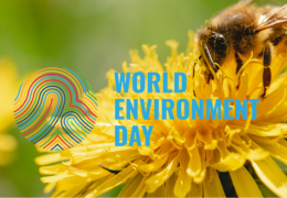 World Environment Day : Protection de la biodiversité grâce à une gestion innovante des déchets