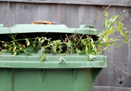 Déchets de jardin ou déchets verts : la grande différence entre particuliers et entreprises